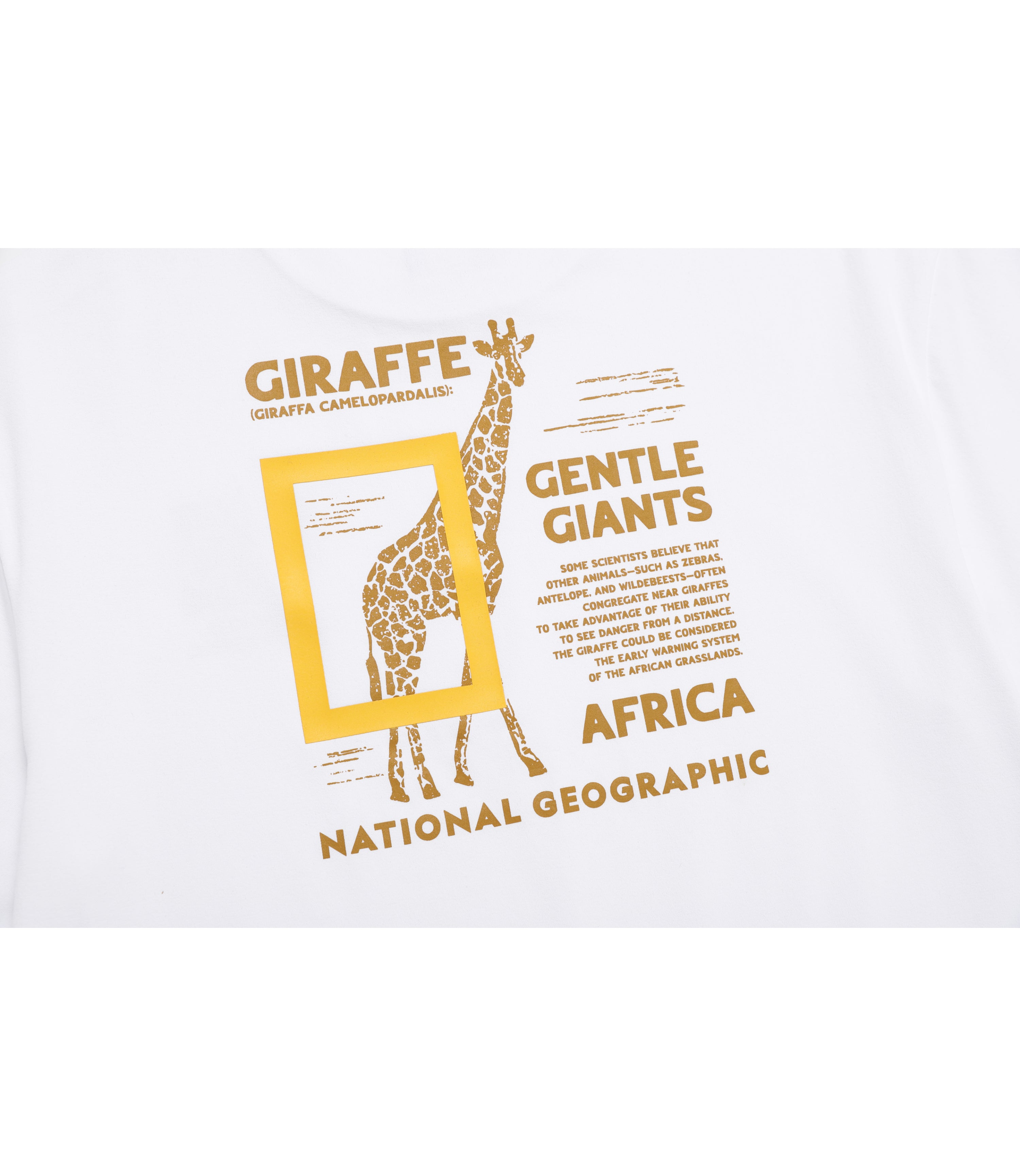 Kid's Cooling Safari Graphic Short Sleeve Tee<br>WHITE