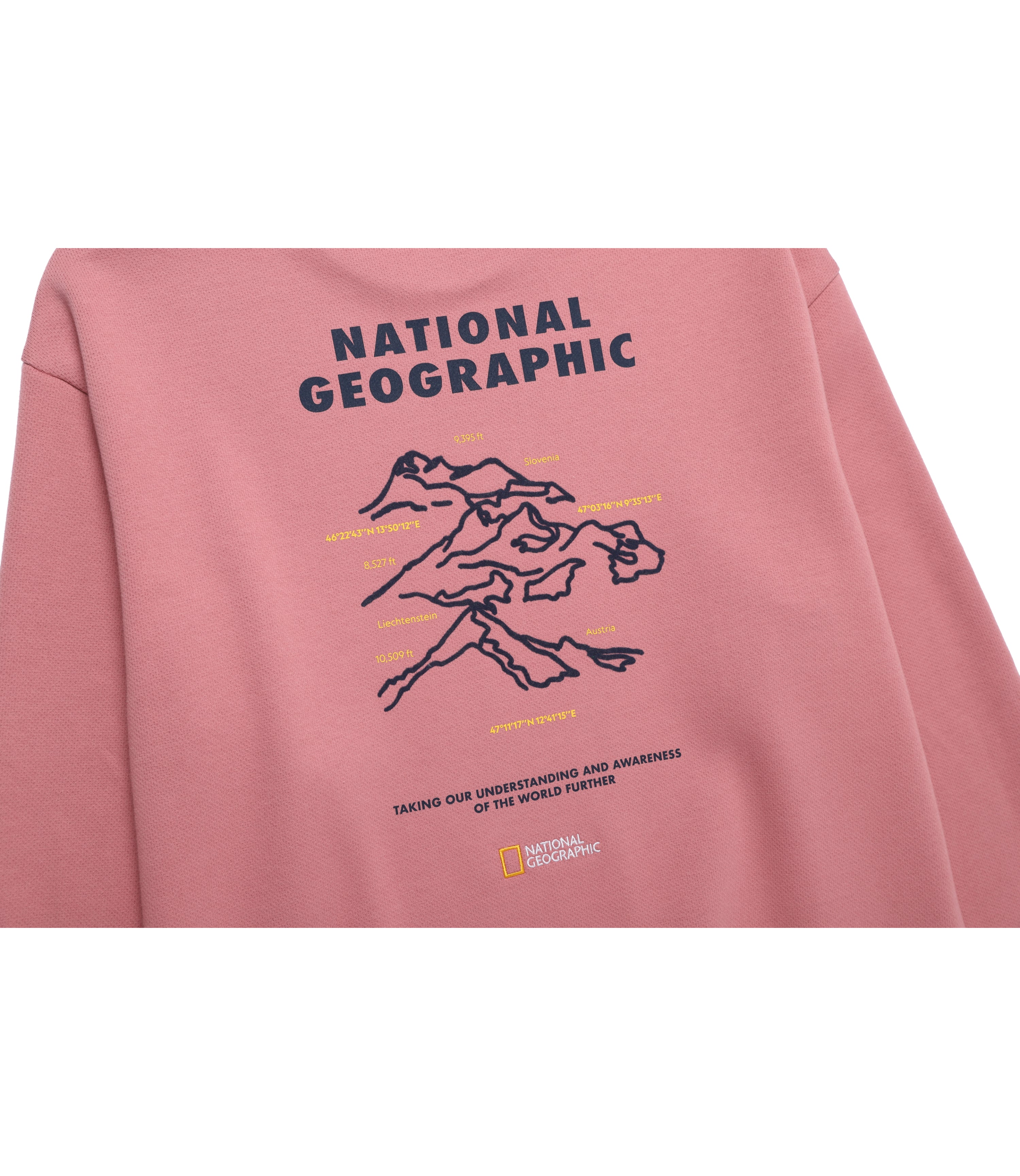 Unisex Concept Graphic Sweatshirt<br>D/PINK