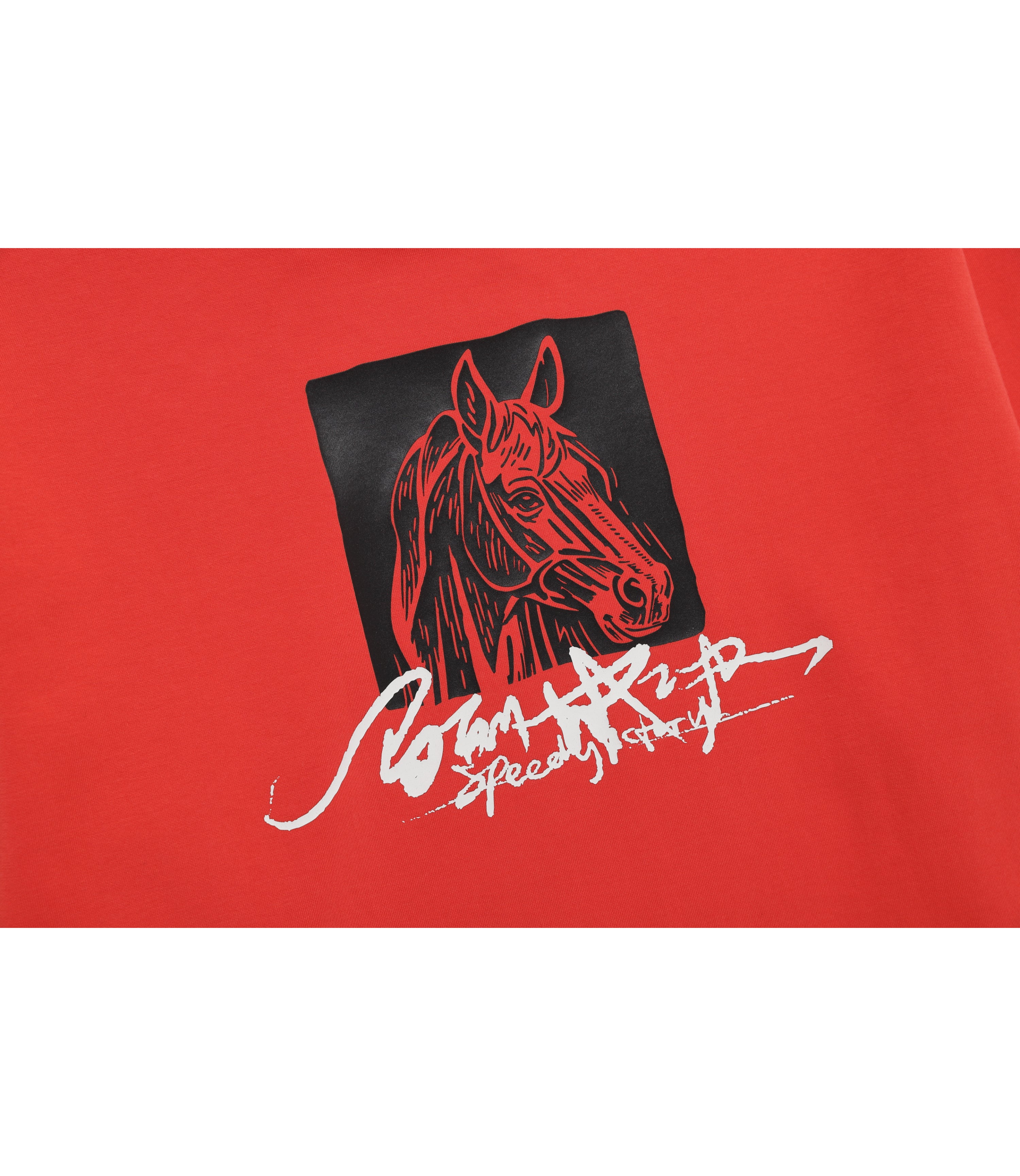 Unisex Year Of The Horse Graphic Hoodie<br>RED