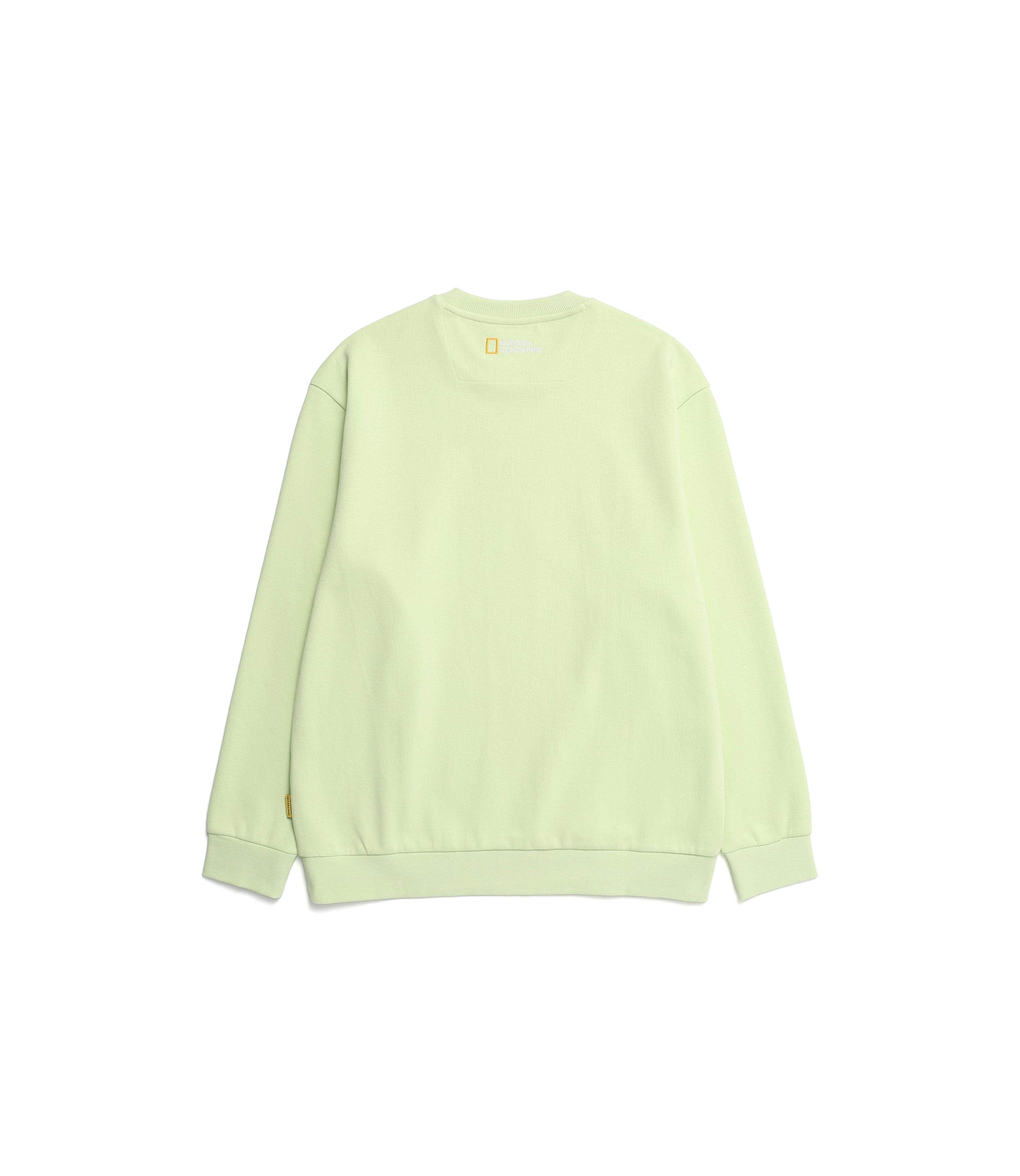 Unisex ARRAYAN Basic Big LOGO Sweatshirt<br>LIGHT JADE