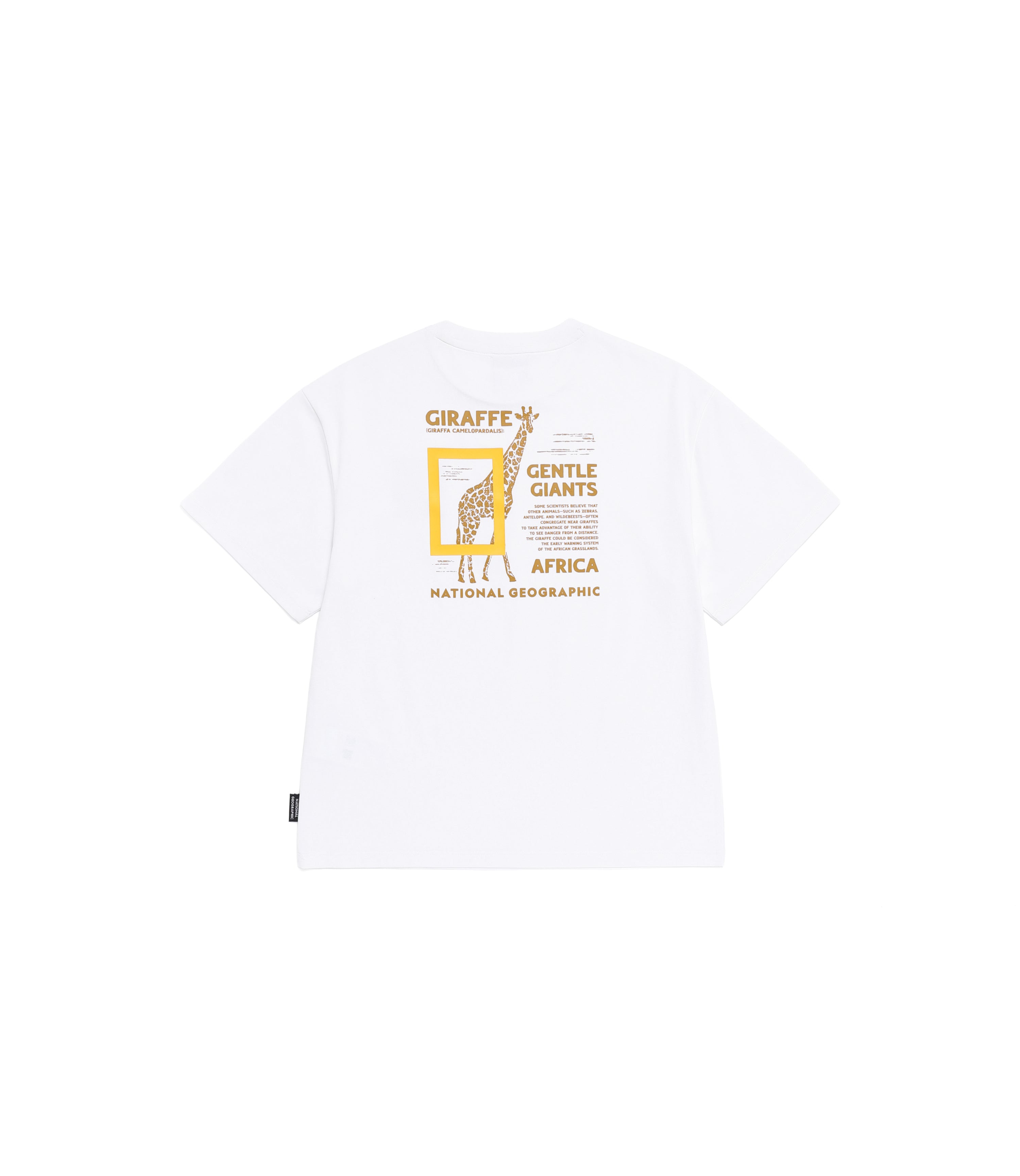 Kid's Cooling Safari Graphic Short Sleeve Tee<br>WHITE