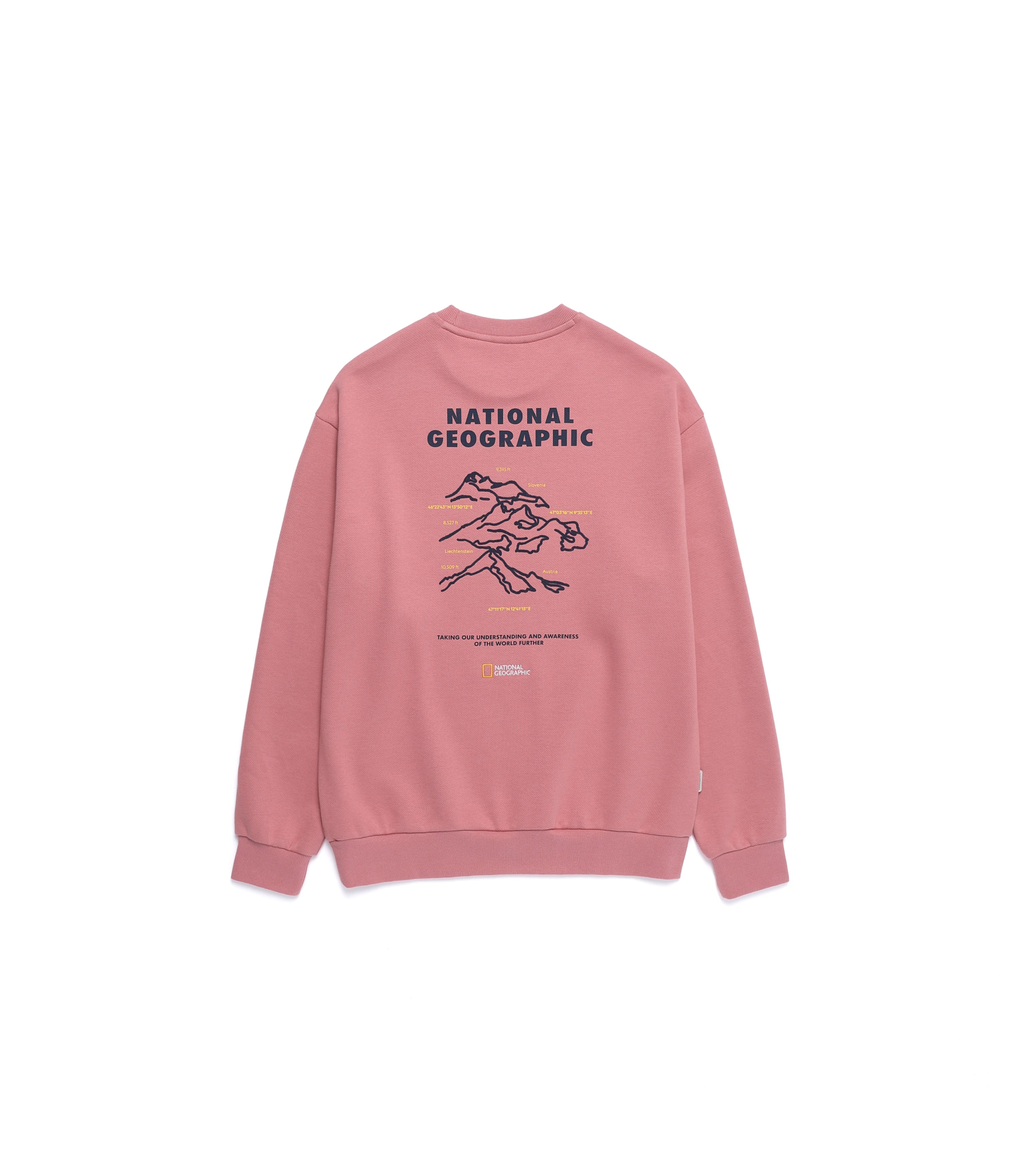 Unisex Concept Graphic Sweatshirt<br>D/PINK