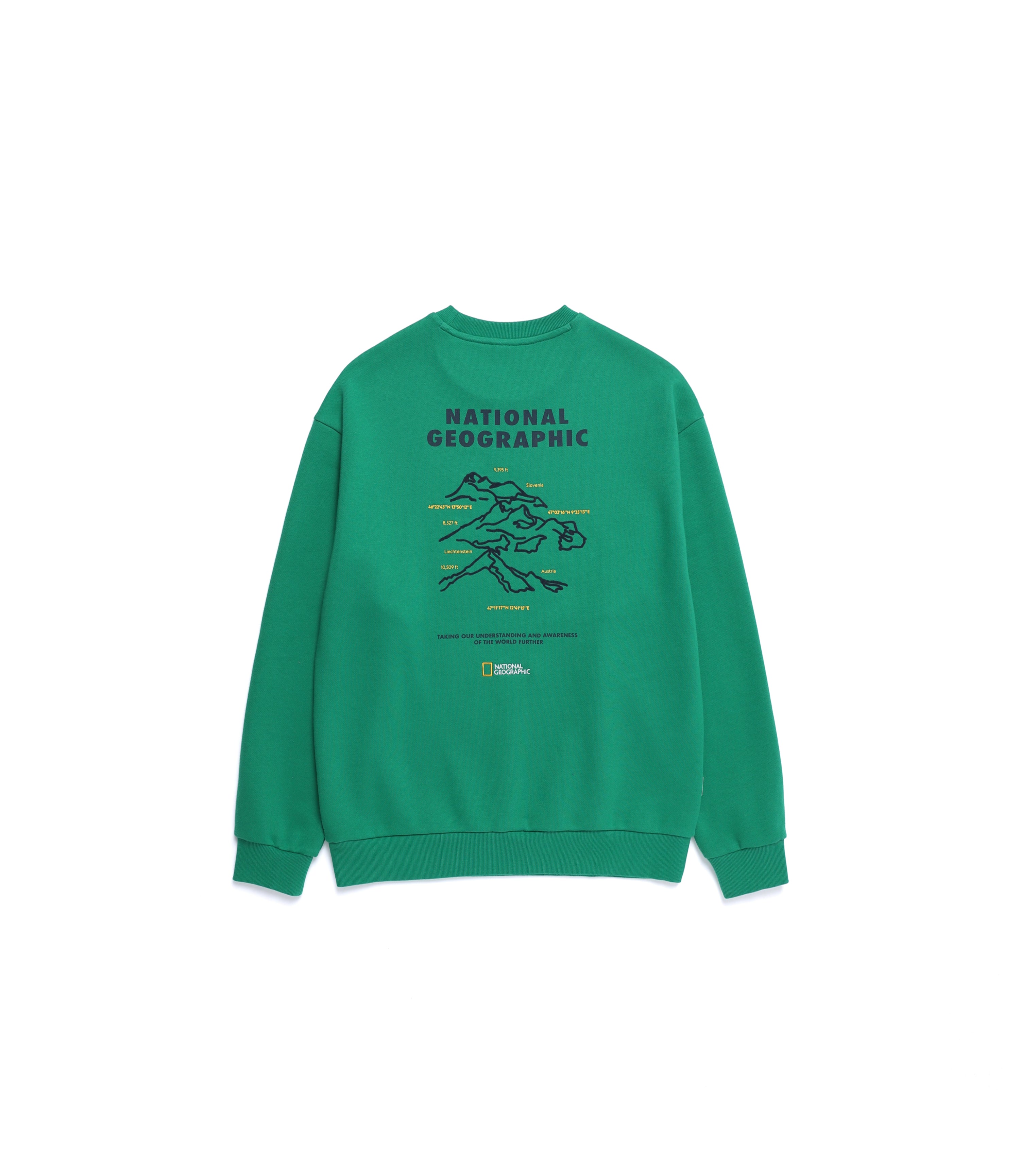 Unisex Concept Graphic Sweatshirt<br>GREEN