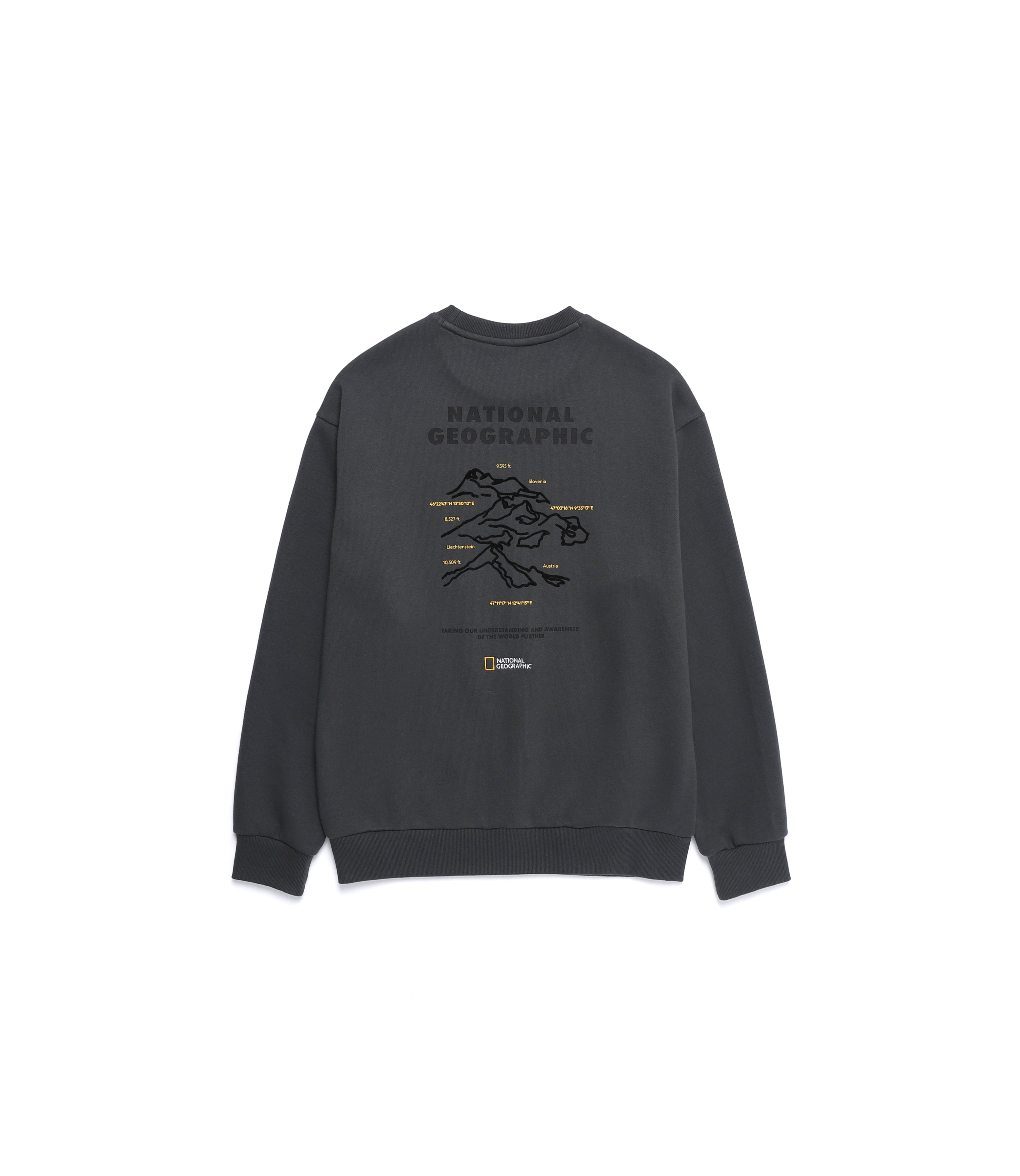 Unisex Concept Graphic Sweatshirt<br>WOOD GREY