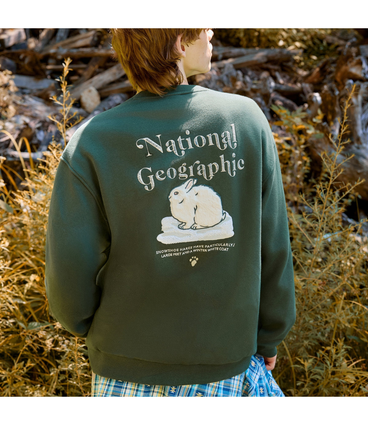 Unisex Animal Graphic Semi-Overfit Sweatshirt<br>DEEP GREEN